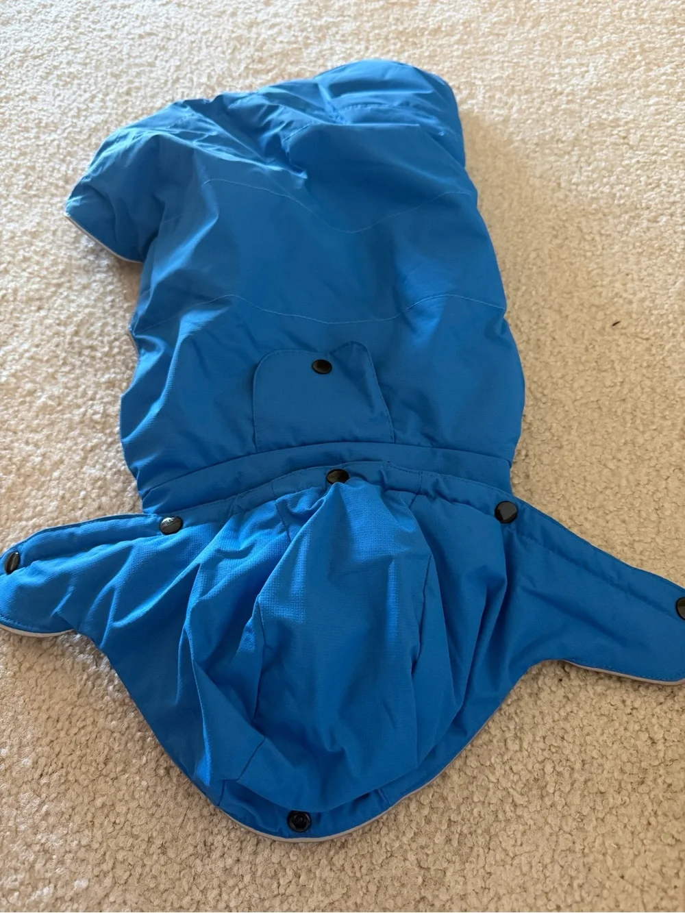 Warm Dog Jacket for Cold Weather